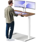 Desktronic bureau assis debout homeone 120x60cm - �lectrique r�glable en hauteur - chargeur usb / usb ...