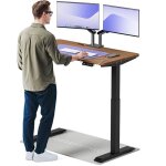 Desktronic bureau assis debout homeone 120x60cm - �lectrique r�glable en hauteur - chargeur usb / usb ...