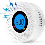 D�tecteur de monoxyde de carbone avec d�tection de d�fauts et alarmes sonores et visuelles