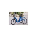 Di blasi r34 bleu - tricycle �l�ctrique pliant � batterie amovible acc�l�ration avec les p�dales