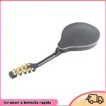 Dilwe mandoline de style a instrument de mandoline �lectrique instruments de musique pour adultes cordes ...