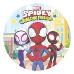 Disque azyme comestible - marvel - spidey - 20 cm - multicolore - anniversaire enfants