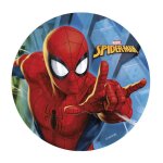 Disque comestible sans sucre disney marvel spiderman decoration gateaux anniversaire enfants