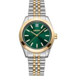 Dkny dk1l029m0085 montre femme nolita midi two tone 32mm 5atm