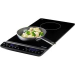 Do30211ip plaque de cuisson  induction verticale - 2 feux