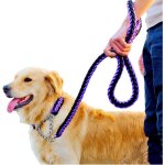 Dog leather with tension rope training leash collar training walker jogging purple