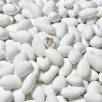 Drages amande lorraine blanc - 1kg