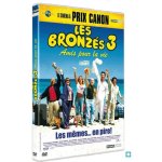 Dvd les bronzs 3 : amis pour la vie