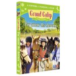 Dvd grand galop - tf1 video - par amour des chevaux - dvd - standard - franais