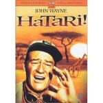 Dvd hatari