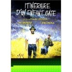 Dvd itineraire dun enfant gate