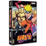 Dvd naruto vol. 1