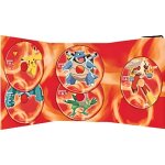 Dvd pokemon saison 8 vol. 1