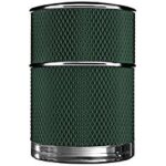 Eau de parfum - alfred dunhill - icon racing - 50 ml - homme - fougre