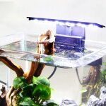 �clairage daquarium x3 aquarium led lampe daquarium 220v 6w plantes aquatiques et poissons nano aquarium ...