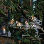 Eclairage ext�rieur - nature & d�couvertes : guirlande solaire oiseaux de nuit