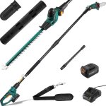 �lagueur sur perche et taille haie t�lescopique sans fil batterie li - ion 20 v 4 ah / chargeur poign�e ...