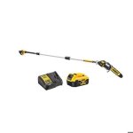 lagueuse sur perche xr 18v avec 1 batterie 5ah + chargeur - dewalt - dcmps567p1