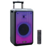 Enceinte - retour ibiza - 10 - 5538