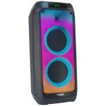 Enceinte - retour ibiza - 10 - 5539