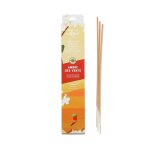 Encens et accessoires - nature & dcouvertes : 25 btonnets dencens ambre des vents