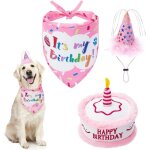 Ensemble bandana et g�teau en peluche pour anniversaire de chien - chapeau mignon et cadeau id�al pour ...