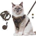 Ensemble harnais et laisse pour chat anti - vasion harnais ajustable pour chaton avec bande rflchissante ...