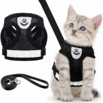 Ensemble harnais et laisse pour chiot / chat gilet anti - fuite réglable laisse de poitrine en maille ... Ensemble harnais et laisse pour chiot / chat gilet anti - fuite réglable laisse de poitrine en maille ...