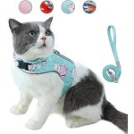 Ensemble laisse et harnais pour chat anti - �vasiongilet r�fl�chissant r�glable pour animal de compagnie ...
