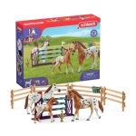 Entra�nement au concours du horse club coffret schleich avec 17 �l�ments inclus dont 3 multicolore entra�nemen ...