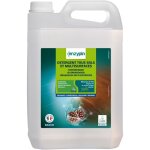 Enzypin dtergent sols & surfaces & vitre bidon de 5l - action pin