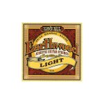 Ernie ball earthwood light ep02004