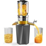 Extracteur de jus froid slow juicer lectrique prserve nutriments et saveurs idal pour boissons saines ...