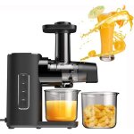 Extracteur de jus  mastication lente et  froid 2 vitesses mastication lente pour lgumes et fruits ...