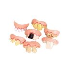 Fausses dents de dmon drle fte faux pourris dents accessoire pour halloween / pques / bal masqu ...