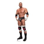 Figurine en carton - wwe triple h - 195 cm - facile � d�plier - pour adulte