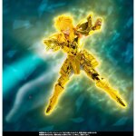 Figurine saint seiya - aquarius hyoga inheritor of the gold cloth myth cloth ex