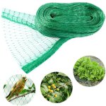 Filet anti - oiseaux 6 x 10 m vert - protection arbres fruitiers anti - pigeon