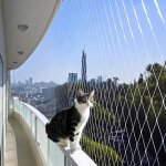 Filet balcon 5x5m nylon r�sistant uv protection chats / oiseaux jardin / piscine