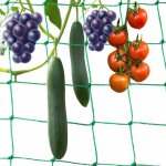 Filet grimpant jardin 5 x 2 m - maille 10x10 cm poly�thyl�ne vert pour tomates & concombres