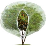Filet de protection contre les insectes et les oiseaux avec fermeture clair 3 x 3 m