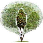 Filet de protection contre les insectes et les oiseaux avec fermeture clair pour protger les fruits ...