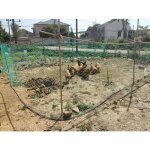 Filet de voli�re - dok - maille de 5 cm - 1. 5m x 25m - vert - r�sistant aux uv - d�coupable - �pissable ...