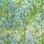 Film fenetre anti regard - film statique vitre occultant adhesif lectrostatique vigne verte - 55x200 ...