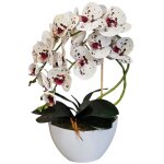 Fleur artificielle orchid�e 3p caoutchouc vivant damich blanc tachet�