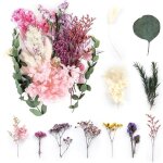 Fleurs sches naturelles - trahoo - multicolore - 10 types de fleurs - bote en plastique - 175x10x25 ...