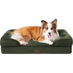 Fleuve - panier chien orthop�dique m�moire de forme d�houssable lavable imperm�able vert fonc� - l 104 ...