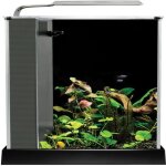 Fluval aquarium équipé spec iii - 10 l - noir Fluval aquarium équipé spec iii - 10 l - noir