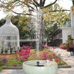 Fontaines solaires - fontaines solaires dextrieur pour jardins tangs piscines et bains doiseaux