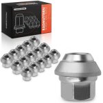 Frankberg 16x �crou de roue pour ford c - max focus mondeo fiesta transit escort scorpio sierra